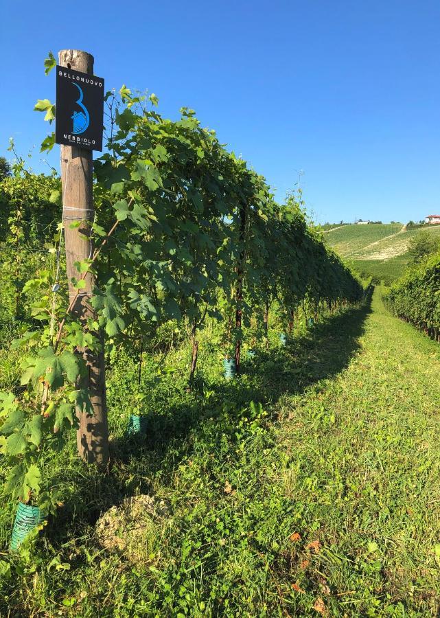 Cascina Bellonuovo Альба Екстер'єр фото